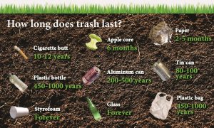 How Long Trash Lasts