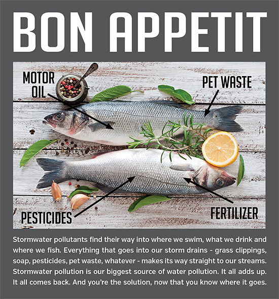 Bon Appetit