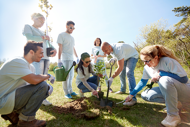 Keeping America Beautiful - Planting a Tree